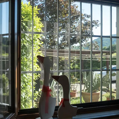 Latte & Miele Hause Guest house Lucca