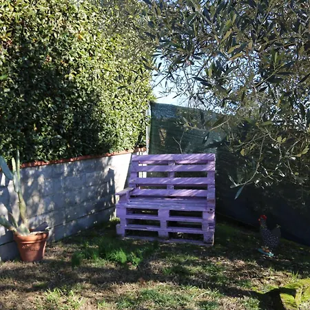 Latte & Miele Hause 3* Lucca