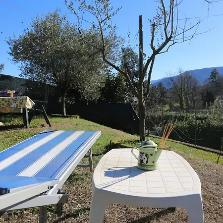 Latte & Miele Hause Lucca