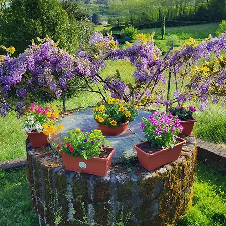 Latte & Miele Hause 3*